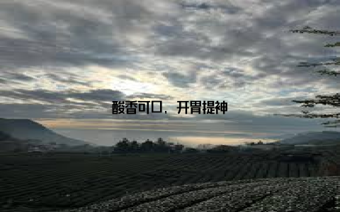 酸香可口, 开胃提神