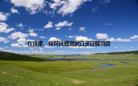 在这里, 你可以观赏到众多珍稀鸟类