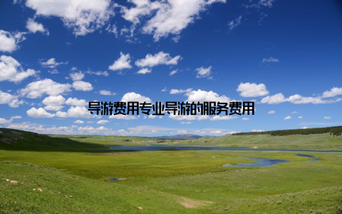 导游费用专业导游的服务费用