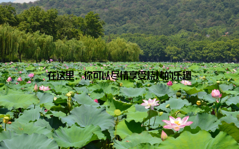 在这里, 你可以尽情享受烧烤的乐趣