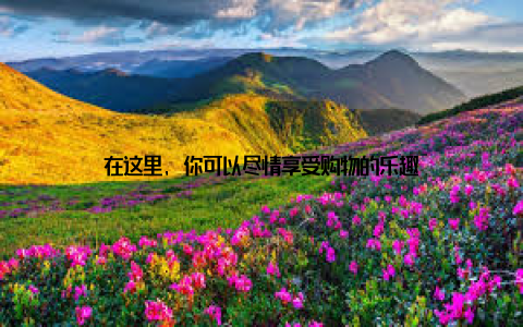 在这里, 你可以尽情享受购物的乐趣