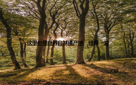 这里也是世界自然遗产地, 值得一游