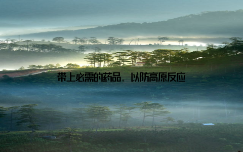 带上必需的药品, 以防高原反应