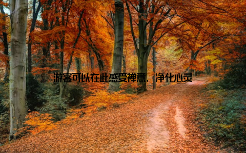 游客可以在此感受禅意, 净化心灵