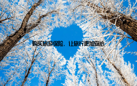 购买旅游保险, 让旅行更加安心