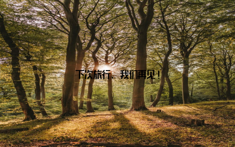 下次旅行, 我们再见!