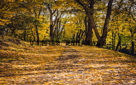 华清池的温泉, 更是让人流连忘返