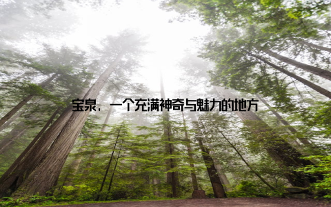 宝泉, 一个充满神奇与魅力的地方