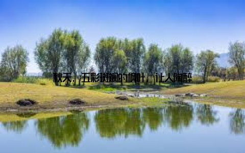 秋天, 五彩斑斓的枫叶, 让人陶醉