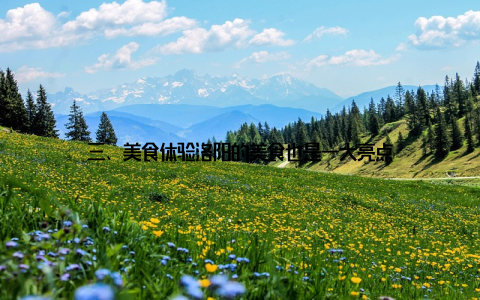 三、美食体验洛阳的美食也是一大亮点