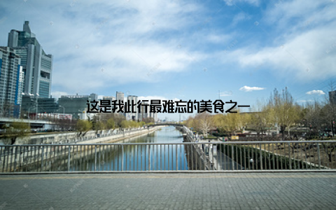 这是我此行最难忘的美食之一