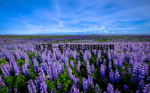 以下是一些不容错过的美味佳肴