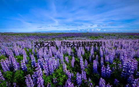 大连之美, 尽在大连旅游学校!