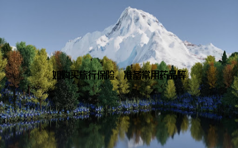 如购买旅行保险、准备常用药品等