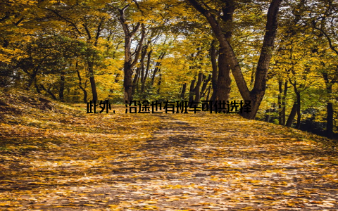 此外, 沿途也有班车可供选择