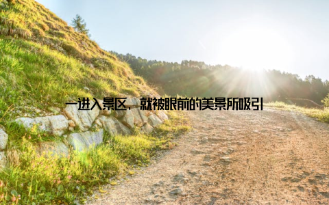 一进入景区, 就被眼前的美景所吸引