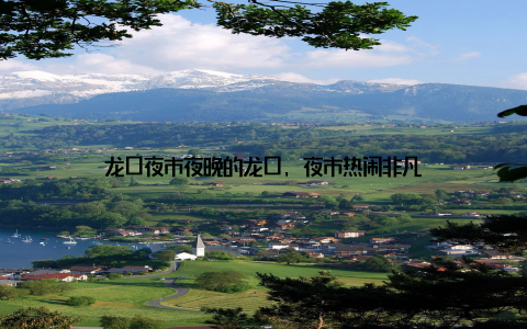 龙口夜市夜晚的龙口, 夜市热闹非凡