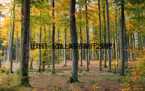 让我们一起踏上美好的旅行之旅吧!