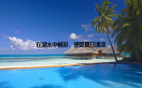 在湖水中畅游, 感受夏日清凉